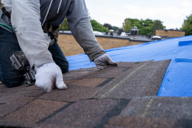 Best Roof Leak Repair  in Monticello, IL
