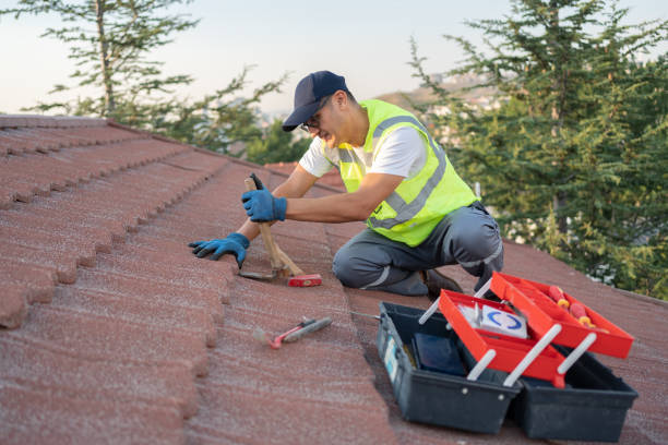 Best Roof Restoration Services  in Monticello, IL
